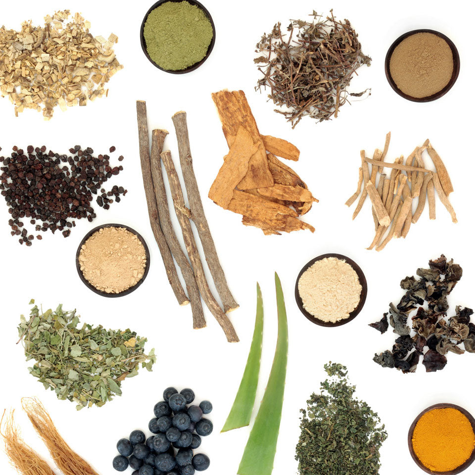 Adaptogens: What you need to know about adaptogens? – Body and Mind