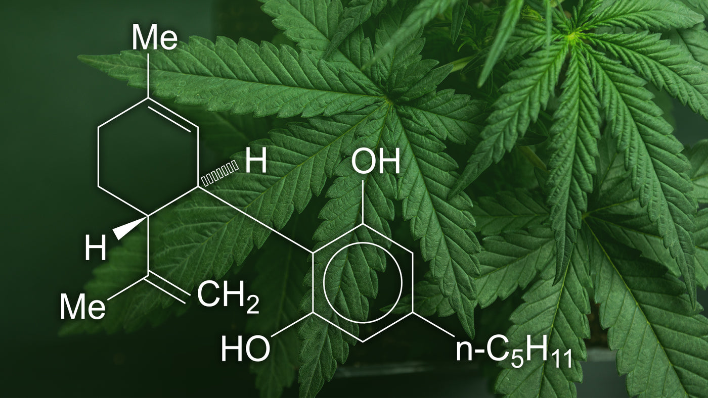 Cannabidiol (CBD) - Overview, Uses, and Side Effects