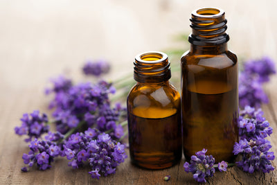 Lavender: Benefits, applications, and dosage of lavender oil