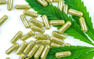 CBD Capsules